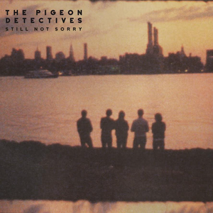 The Pigeon Detectives - Still Not Sorry: The Best of The Pigeon Detectives