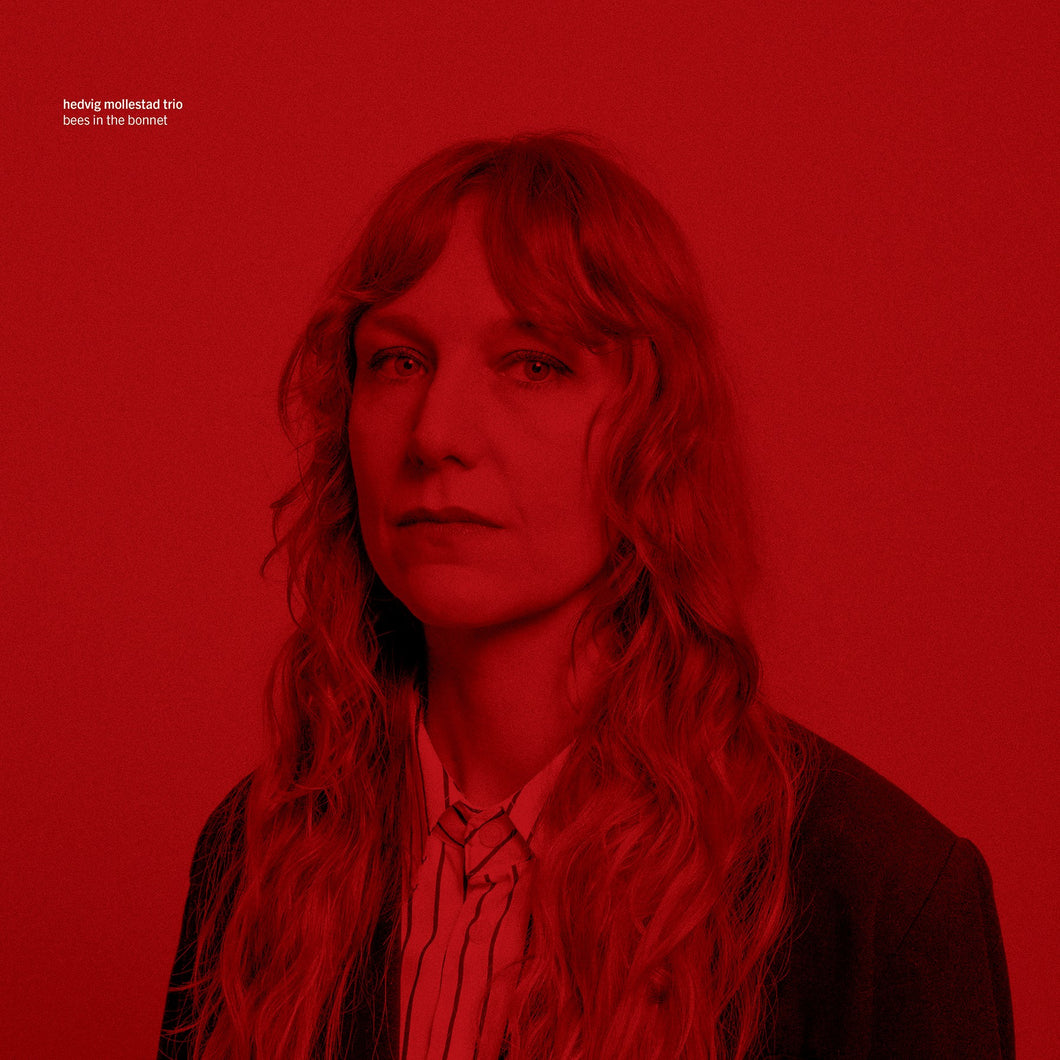 Hedvig Mollestad Trio - Bees In The Bonnet