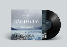 Load image into Gallery viewer, David Gray - Life in Slow Motion (20th Anniversary Edition)
