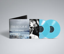 Load image into Gallery viewer, David Gray - Life in Slow Motion (20th Anniversary Edition)
