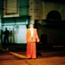 Load image into Gallery viewer, J.Bernardt - Wild Swim
