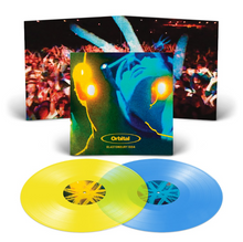 Load image into Gallery viewer, Orbital - Glastonbury 1994
