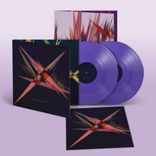 Load image into Gallery viewer, Jon Hopkins - Immunity (10th Anniversary Edition)
