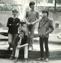 Load image into Gallery viewer, The Chameleons - Tony Fletcher Walked On Water
