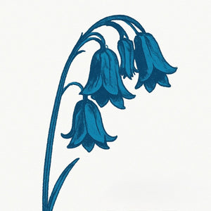 The Bluebells - This Is The Bluebells