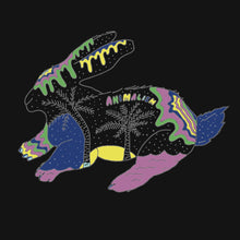 Load image into Gallery viewer, Beach Bunny - The Early Days
