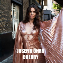 Load image into Gallery viewer, Josefin Öhrn - Cherry
