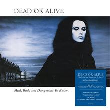 Load image into Gallery viewer, Dead Or Alive - Mad, Bad And Dangerous To Know
