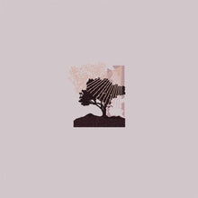 Load image into Gallery viewer, Land Of Talk  - Performances
