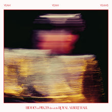 Load image into Gallery viewer, Yeah Yeah Yeahs - Hidden in Pieces: Live (at the Royal Albert Hall)

