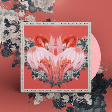 Load image into Gallery viewer, Jesca Hoop - Order Of Romance

