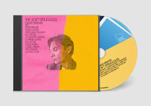 Load image into Gallery viewer, David Brewis - The Soft Struggles
