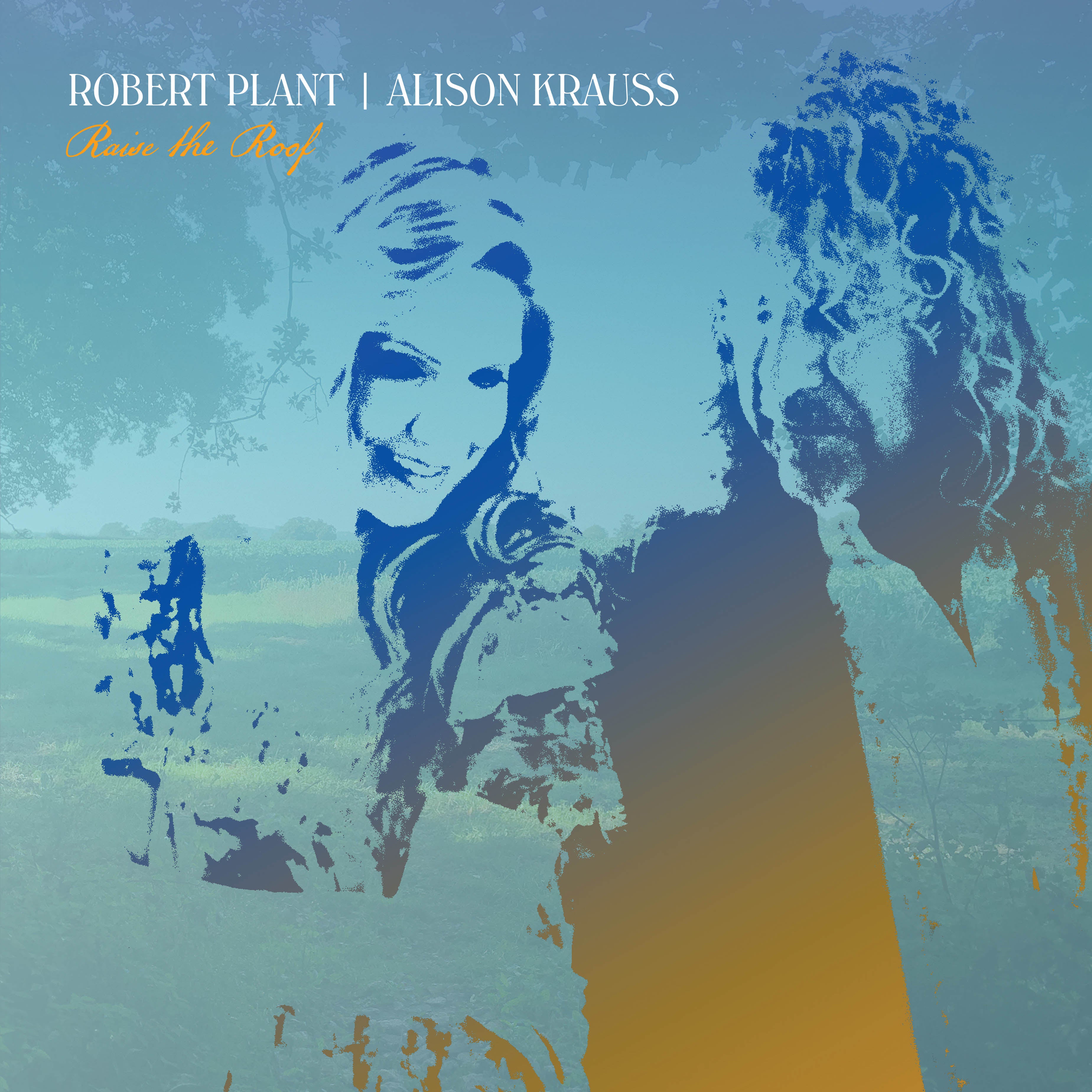 Robert Plant & Alison Krauss - Raise The Roof (CD) – Mixed