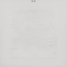 Load image into Gallery viewer, Bon Iver - Bon Iver, Bon Iver (10th Anniversary Edition)

