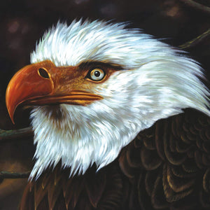 Mogwai ‎– The Hawk Is Howling