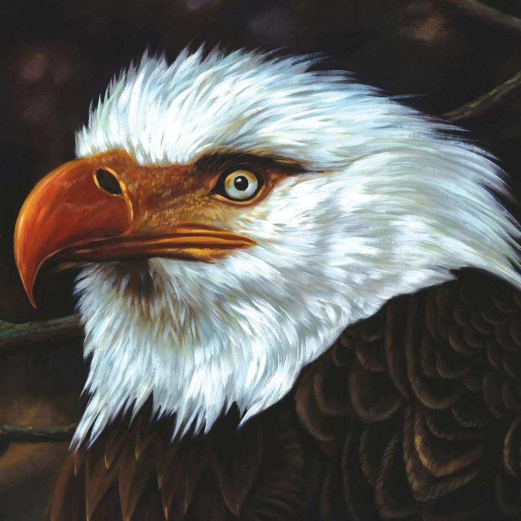 Mogwai ‎– The Hawk Is Howling