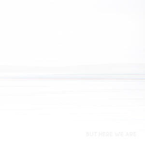 Foo Fighters - But Here We Are