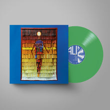 Load image into Gallery viewer, Vieux Farka Touré &amp; Khruangbin - Ali
