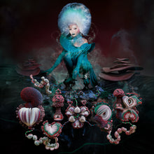 Load image into Gallery viewer, Bjork - Fossora
