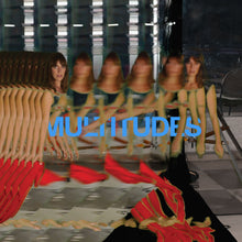 Load image into Gallery viewer, Feist – Multitudes
