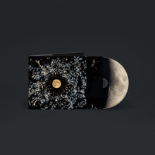 Load image into Gallery viewer, Lisa O&#39;Neill - All Of This Is Chance
