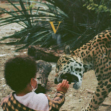 Load image into Gallery viewer, Unknown Mortal Orchestra - V
