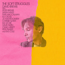 Load image into Gallery viewer, David Brewis - The Soft Struggles
