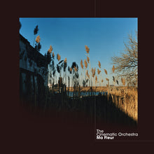 Load image into Gallery viewer, The Cinematic Orchestra - Ma Fleur
