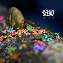 Load image into Gallery viewer, Lichen Slow - Rest Lurks
