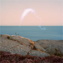 Load image into Gallery viewer, Cassandra Jenkins - An Overview  On Phenomenal Nature
