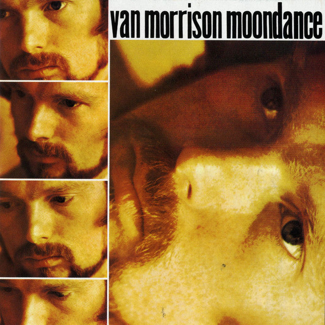Van Morrison ‎– Moondance