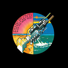 Load image into Gallery viewer, Pink Floyd ‎– Wish You Were Here
