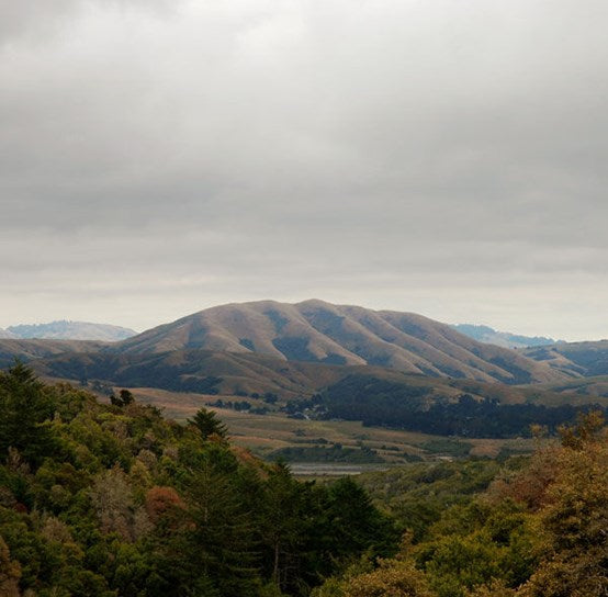 Dirty Projectors & Björk - Mount Wittenburg Orca