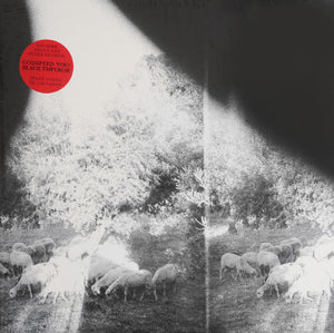Godspeed You! Black Emperor ‎– Asunder, Sweet And Other Distress