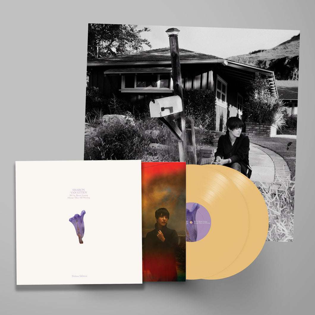 Sharon Van Etten - We've Been Going About This All Wrong (Deluxe)