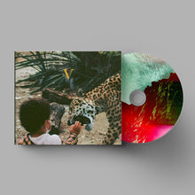 Load image into Gallery viewer, Unknown Mortal Orchestra - V
