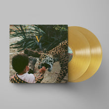 Load image into Gallery viewer, Unknown Mortal Orchestra - V
