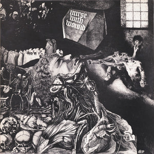Nurse With Wound ‎– Merzbild Schwet