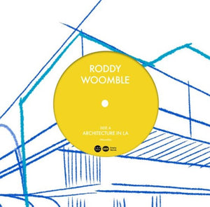 Roddy Woomble - Architecture In LA / Atlantic Photography